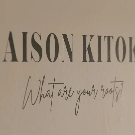 Maison Kitoko * Gand